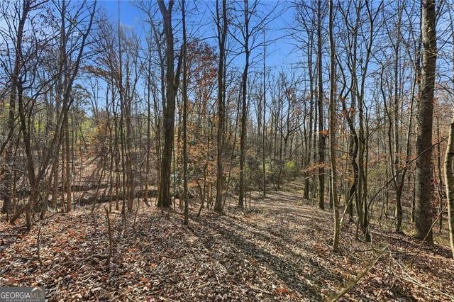 0 Lower Dowda Mill Road, Jasper, GA 30143