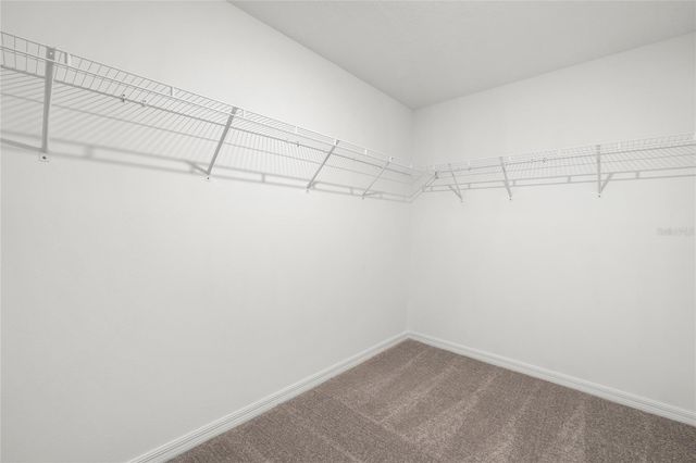 16612 CARLTON POND STREET, Wimauma, FL 33598