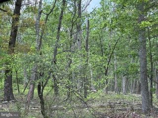 0 N PIONEER LANE, Augusta, WV 26704