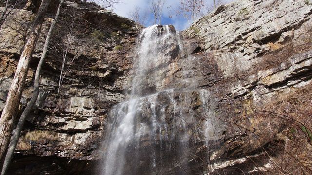 0 Crockett Loop, Jasper, TN 37347