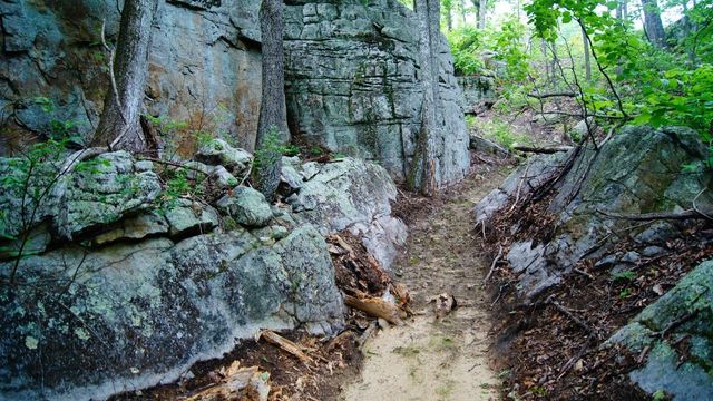 0 Crockett Loop, Jasper, TN 37347