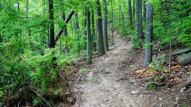 0 Crockett Loop, Jasper, TN 37347
