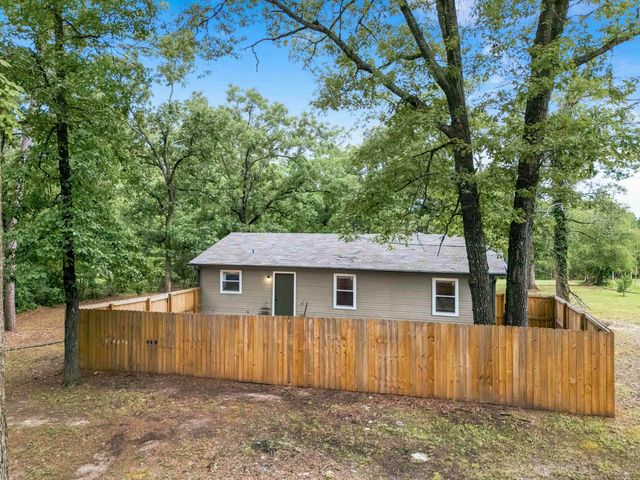 1149 ANGELA DR, New Diana, TX 75640