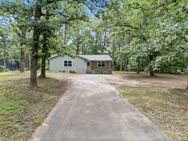 1149 ANGELA DR, New Diana, TX 75640