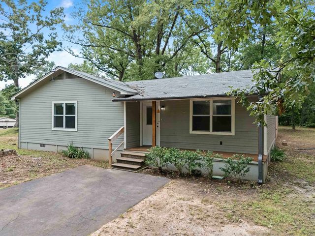 1149 ANGELA DR, New Diana, TX 75640