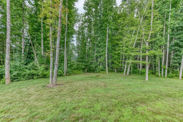 167 Brian Lane, Erwin, TN 37650