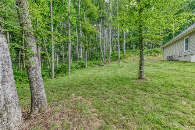 167 Brian Lane, Erwin, TN 37650