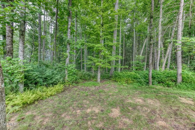 167 Brian Lane, Erwin, TN 37650