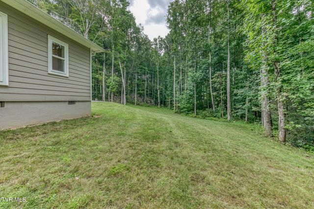 167 Brian Lane, Erwin, TN 37650