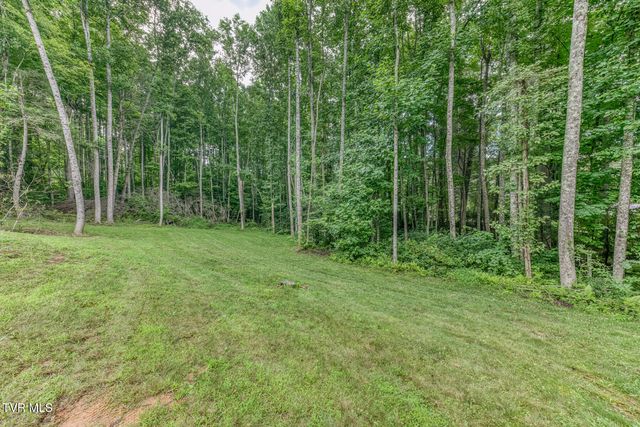 167 Brian Lane, Erwin, TN 37650