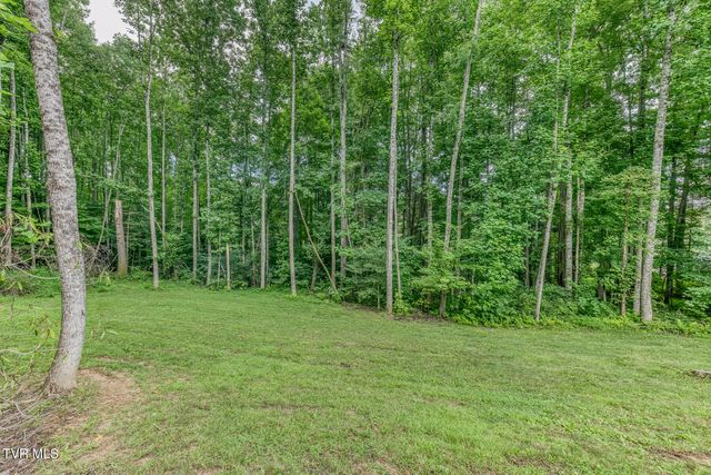 167 Brian Lane, Erwin, TN 37650
