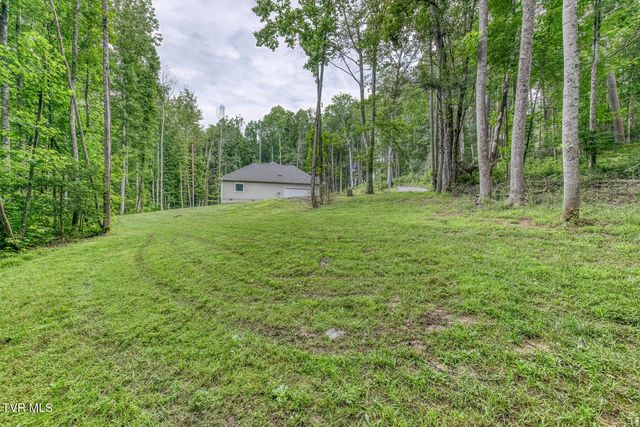 167 Brian Lane, Erwin, TN 37650