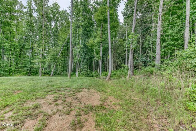 167 Brian Lane, Erwin, TN 37650