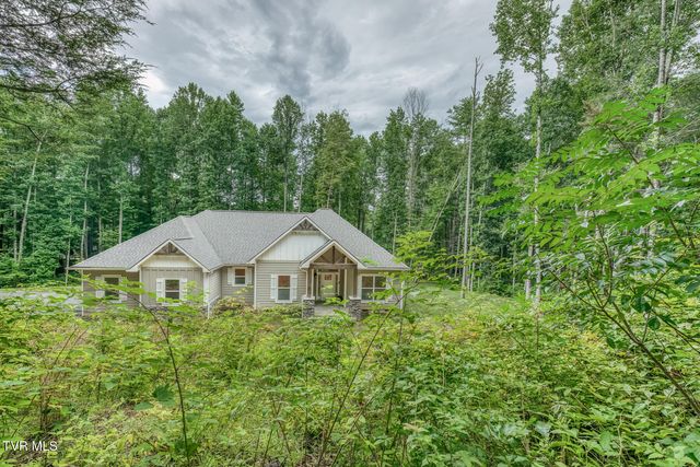 167 Brian Lane, Erwin, TN 37650