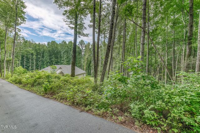 167 Brian Lane, Erwin, TN 37650