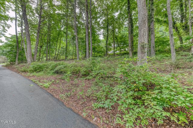 167 Brian Lane, Erwin, TN 37650