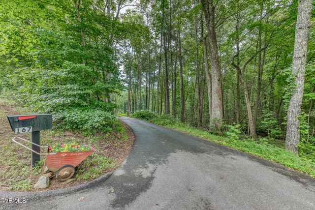 167 Brian Lane, Erwin, TN 37650