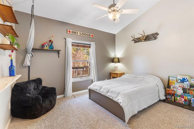 904 Copper Drive, Leadville, CO 80461