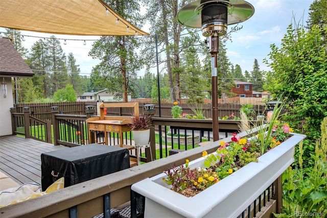 904 Copper Drive, Leadville, CO 80461