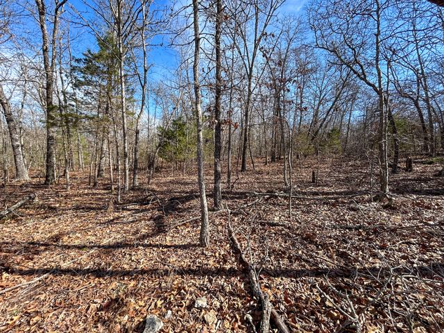 10443 County Road 6690, West Plains, MO 65775