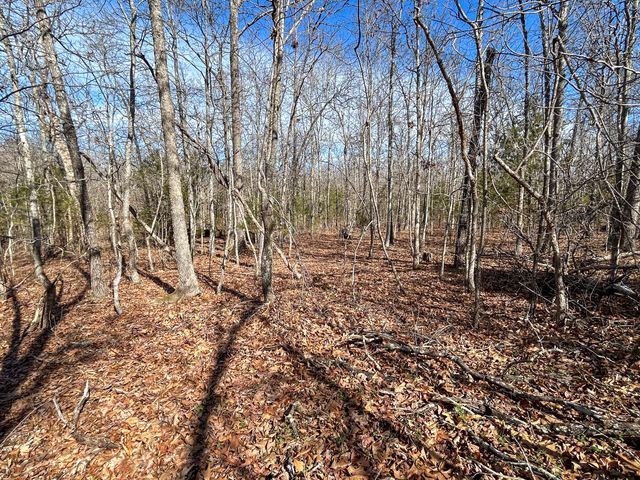 10443 County Road 6690, West Plains, MO 65775