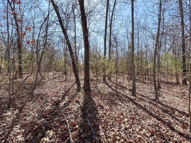 10443 County Road 6690, West Plains, MO 65775