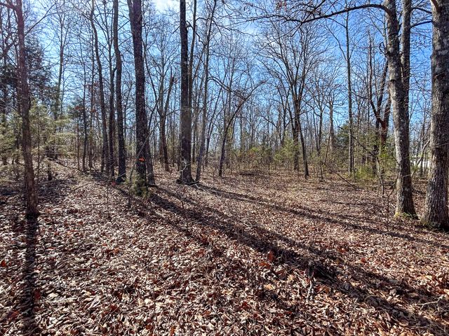 10443 County Road 6690, West Plains, MO 65775