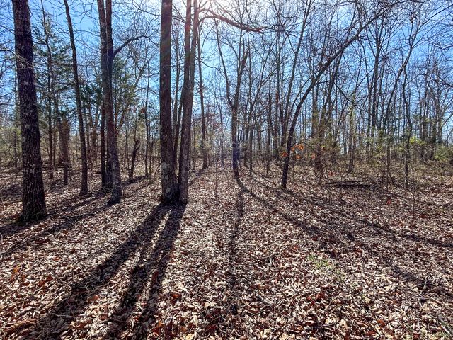 10443 County Road 6690, West Plains, MO 65775