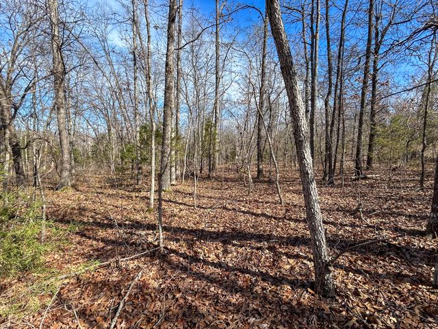 10443 County Road 6690, West Plains, MO 65775