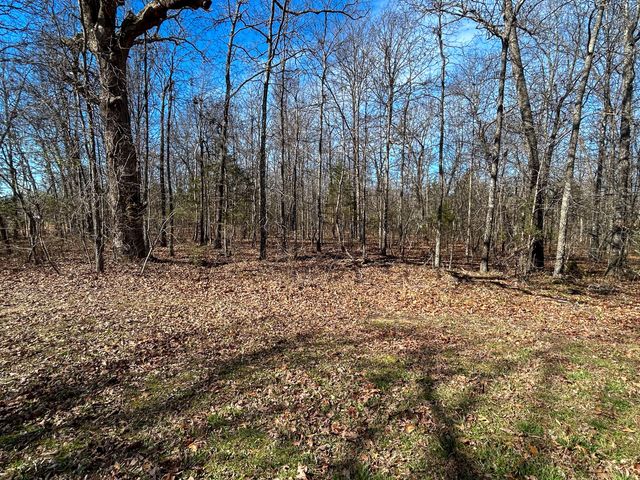 10443 County Road 6690, West Plains, MO 65775