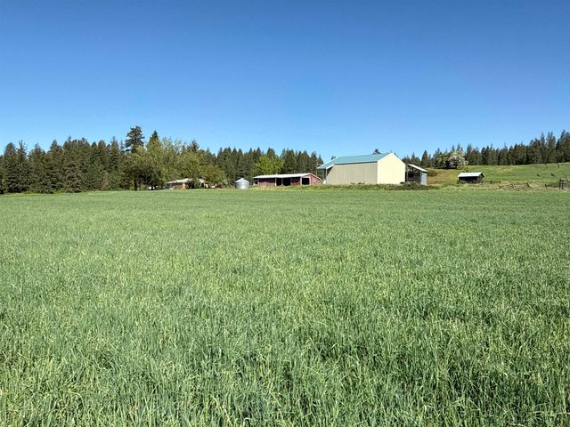 4881 A Carr Rd, Clayton, WA 99110