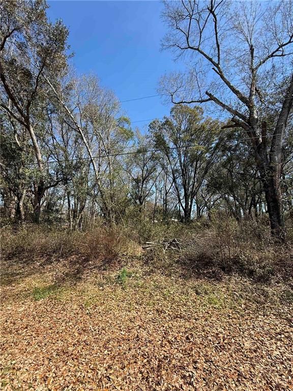 0 Hill-N-Dale Drive, Silverhill, AL 36576