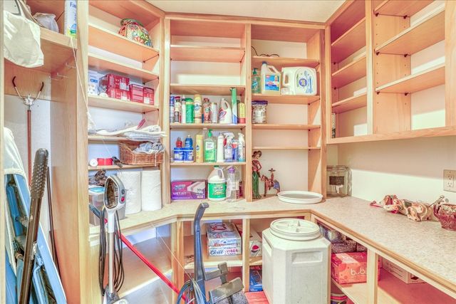 12 Horn Toad, Chama, NM 87520