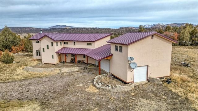 12 Horn Toad, Chama, NM 87520