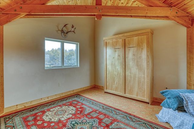 12 Horn Toad, Chama, NM 87520