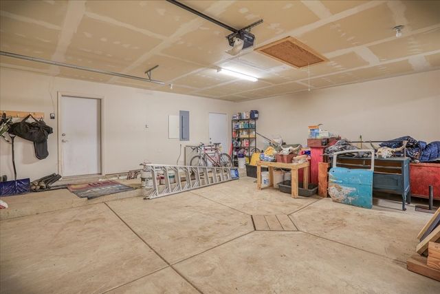 12 Horn Toad, Chama, NM 87520