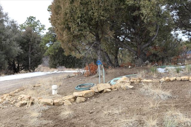 12 Horn Toad, Chama, NM 87520