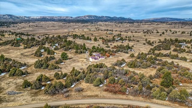 12 Horn Toad, Chama, NM 87520