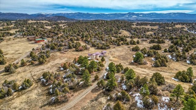 12 Horn Toad, Chama, NM 87520