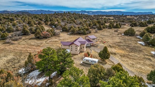 12 Horn Toad, Chama, NM 87520