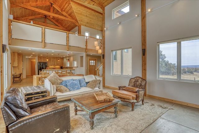 12 Horn Toad, Chama, NM 87520