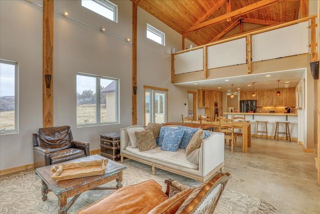 12 Horn Toad, Chama, NM 87520