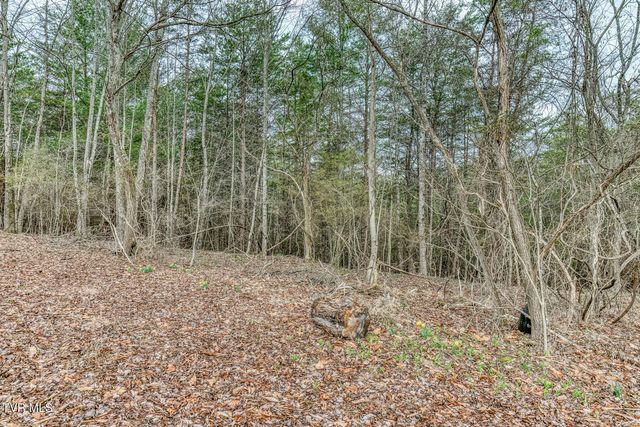 105 Eastern Star Road, Jonesborough, TN 37659