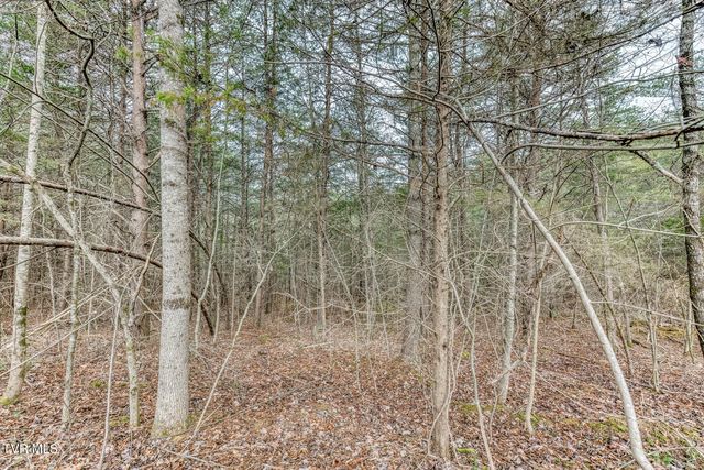 105 Eastern Star Road, Jonesborough, TN 37659