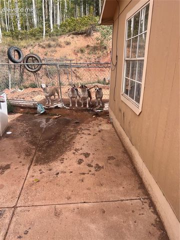64 Grey Eagle Way, Cripple Creek, CO 80813