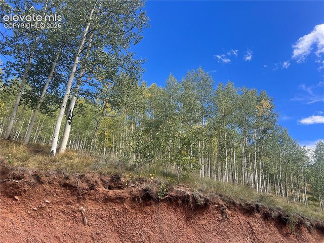 64 Grey Eagle Way, Cripple Creek, CO 80813