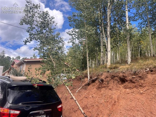 64 Grey Eagle Way, Cripple Creek, CO 80813