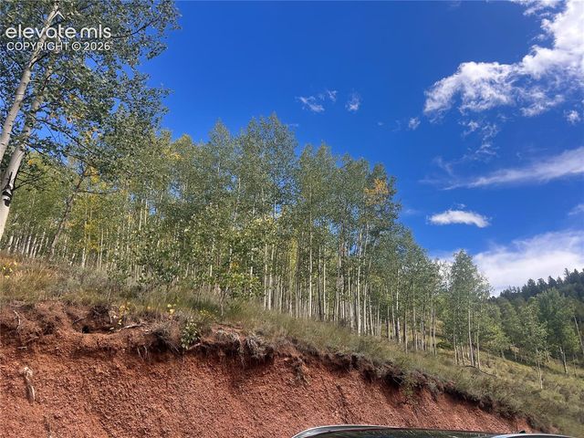 64 Grey Eagle Way, Cripple Creek, CO 80813