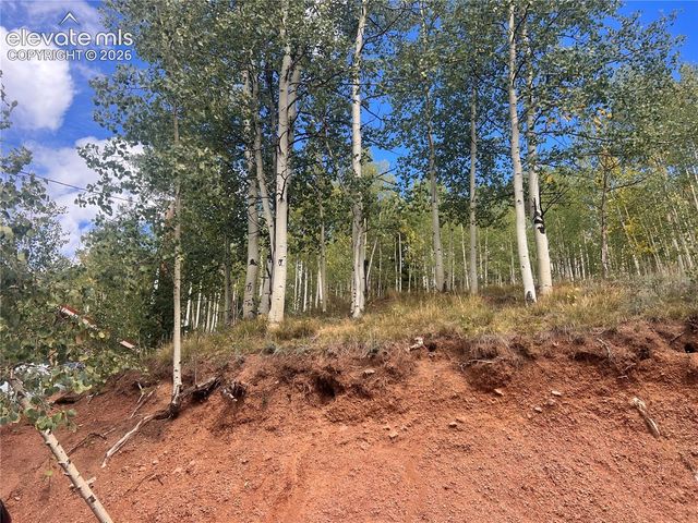 64 Grey Eagle Way, Cripple Creek, CO 80813