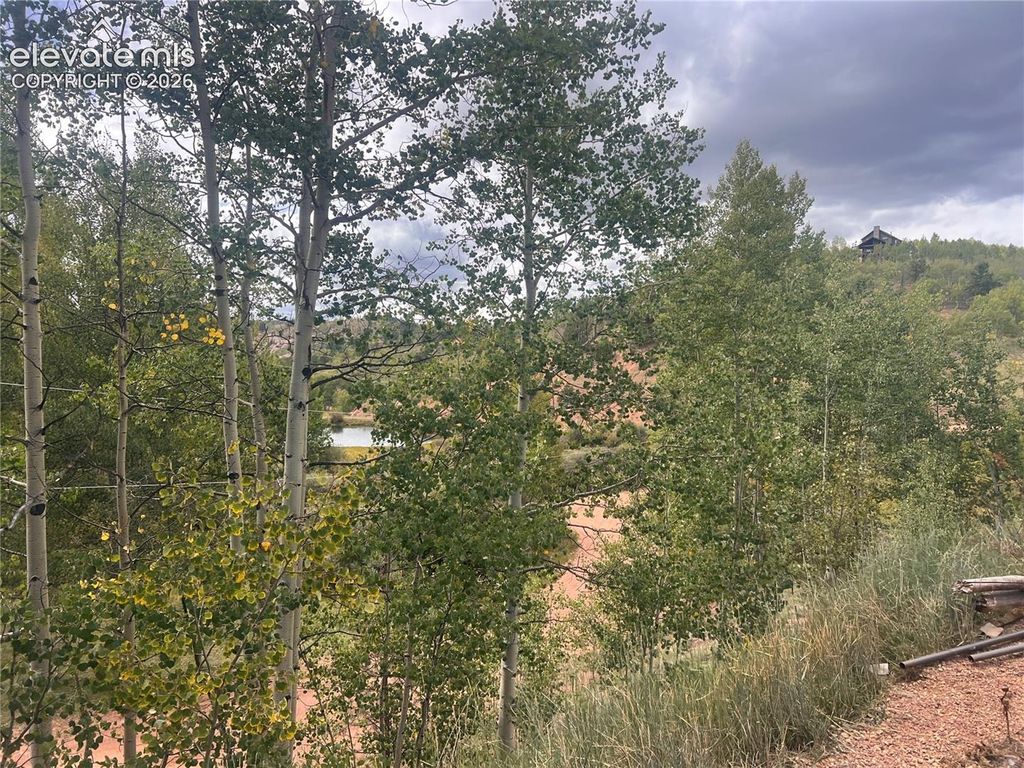 64 Grey Eagle Way, Cripple Creek, CO 80813 — photo 3